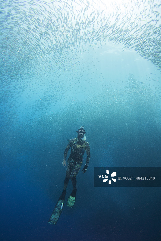 菲律宾自由潜水图片素材