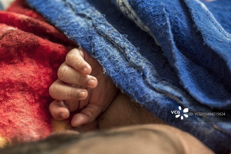 宝宝的手图片素材