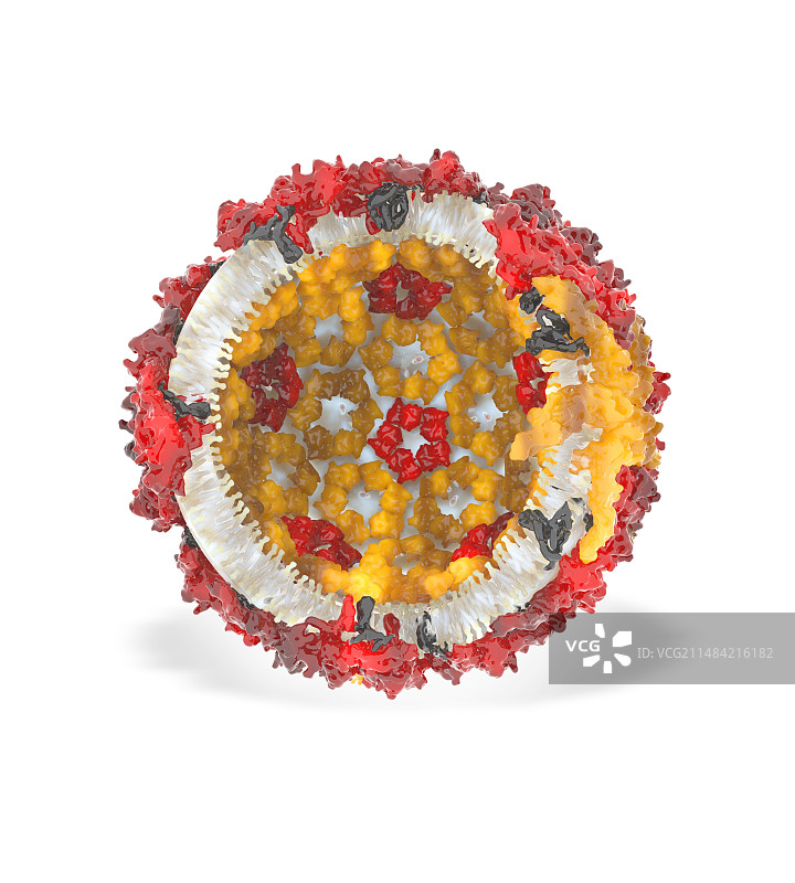 寨卡病毒分子模型图片素材