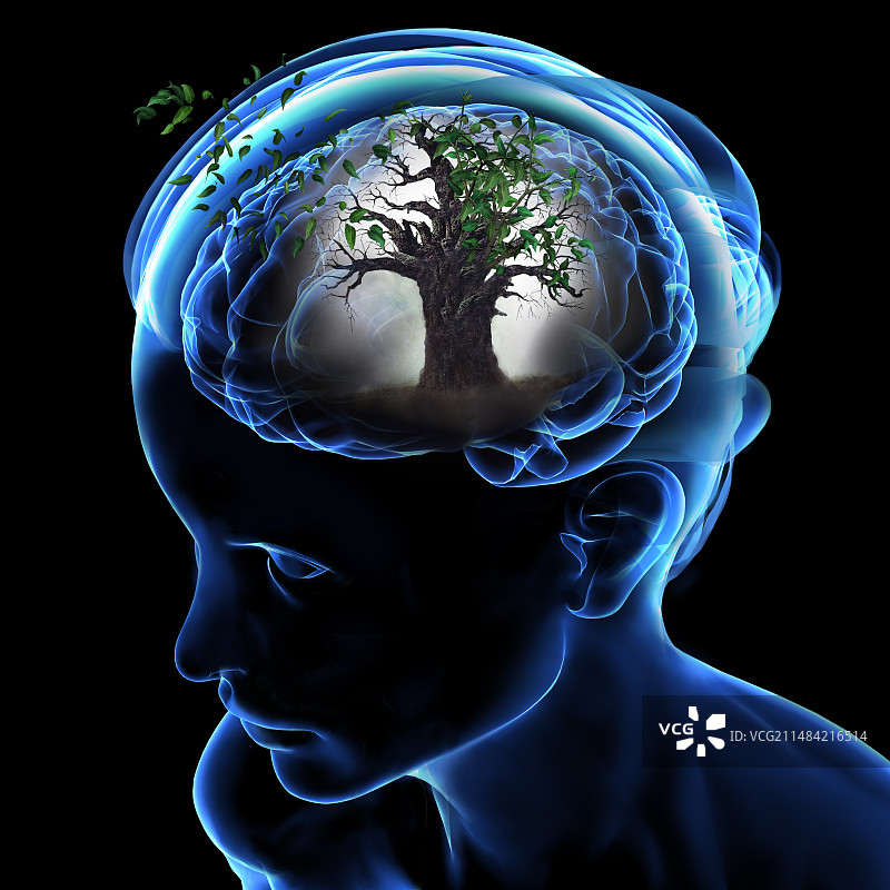大脑概念图片素材