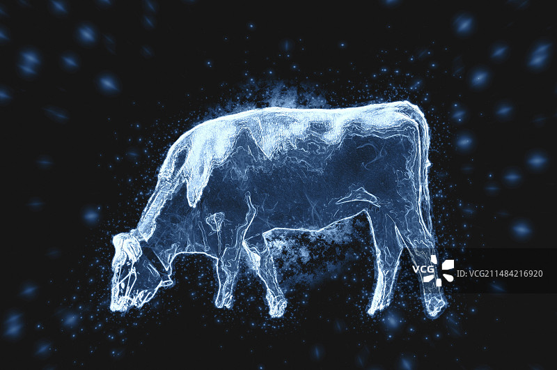 高山自然公园图片素材