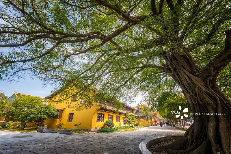 温州江心屿图片素材