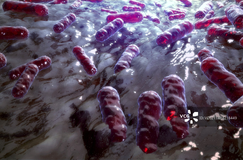 细菌,插图图片素材