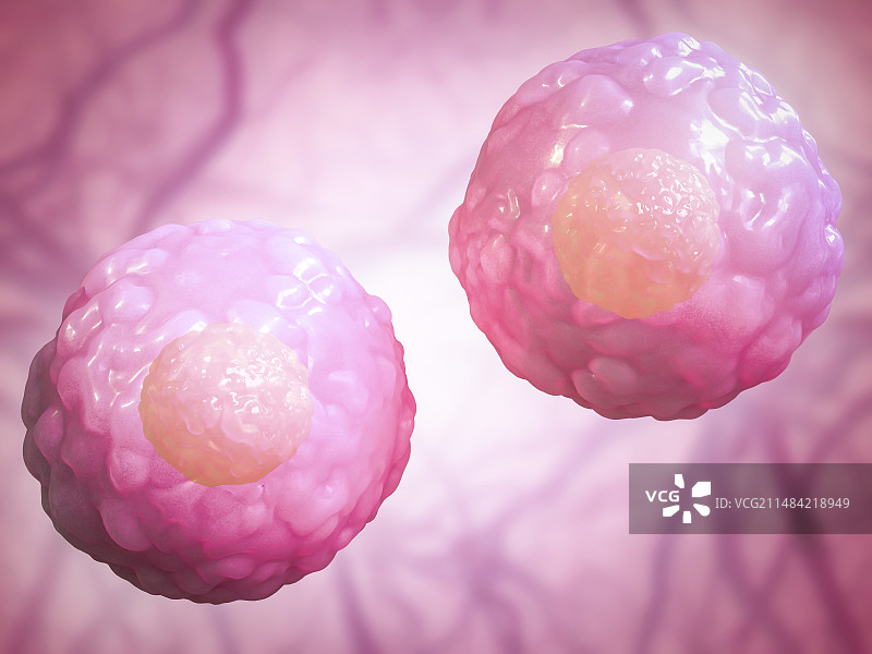 干细胞，图示图片素材