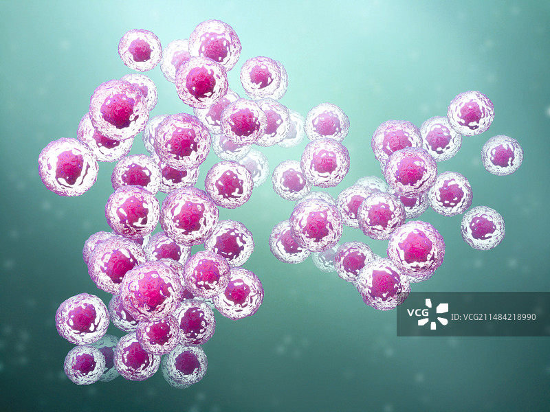 干细胞，图示图片素材