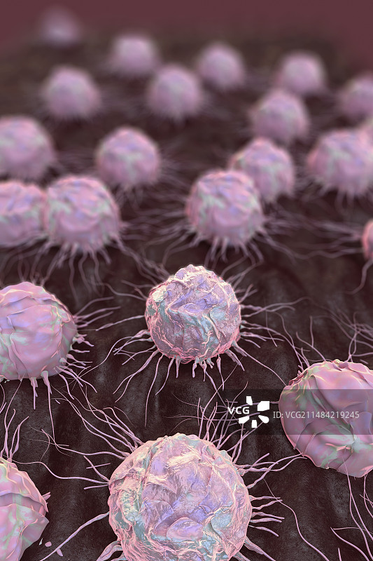 癌细胞，插图图片素材