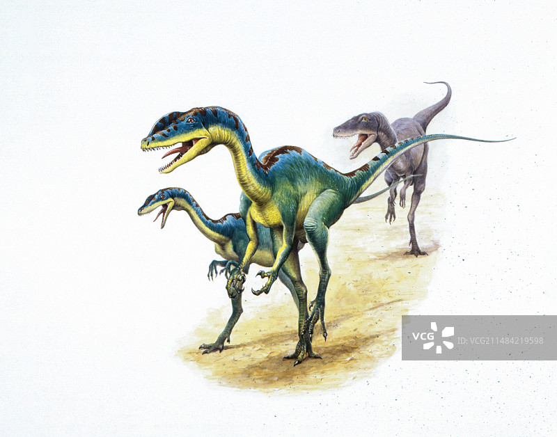 里利恩龙插画图片素材