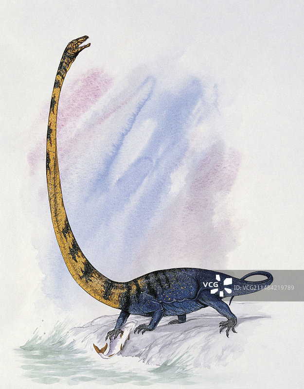 长颈龙狩猎插画图片素材