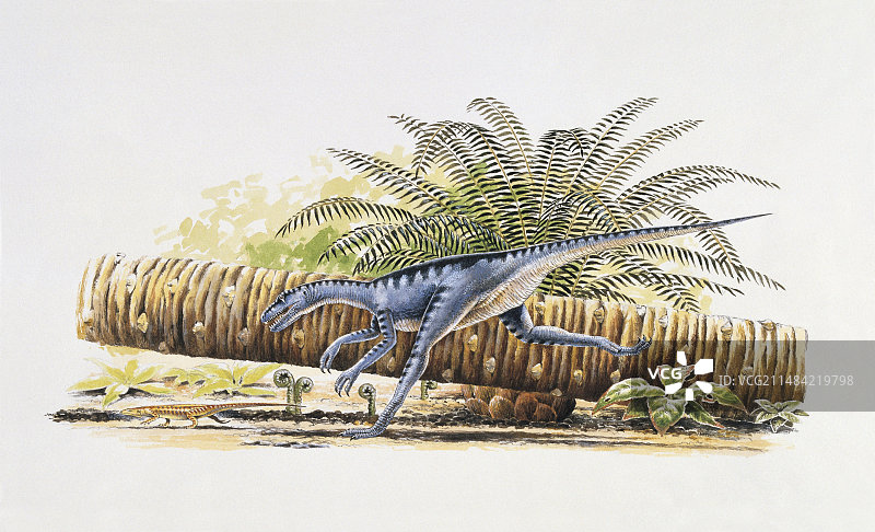 始盗龙奔跑插画图片素材