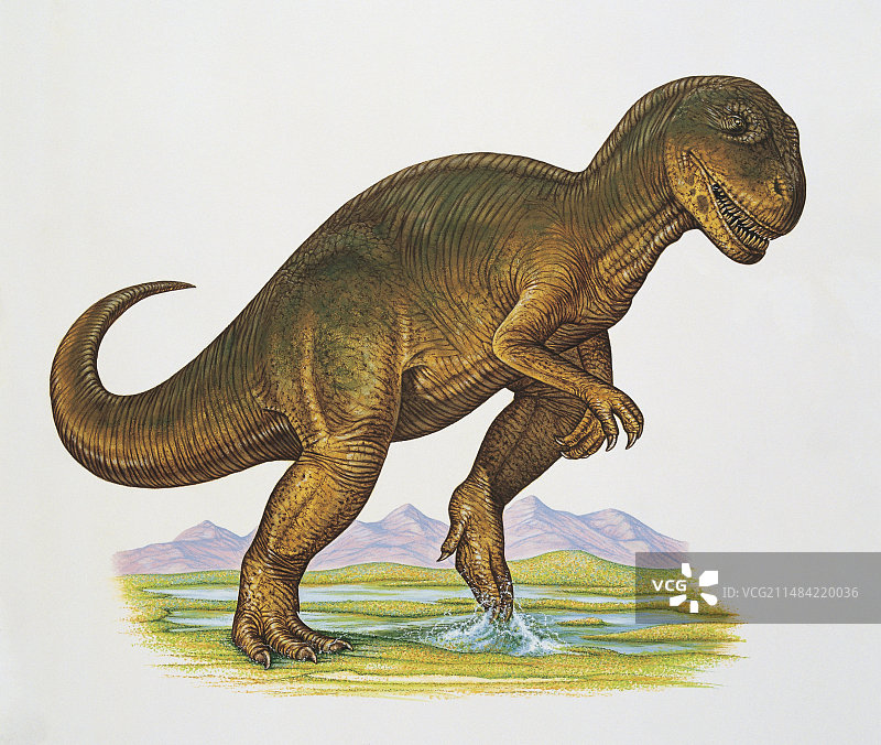 异特龙恐龙插图图片素材