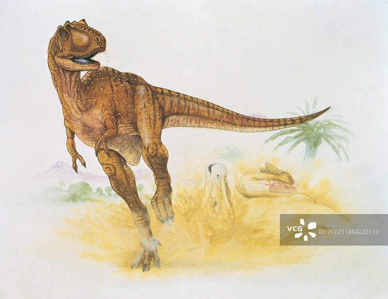 阿尔伯塔龙插画图片素材