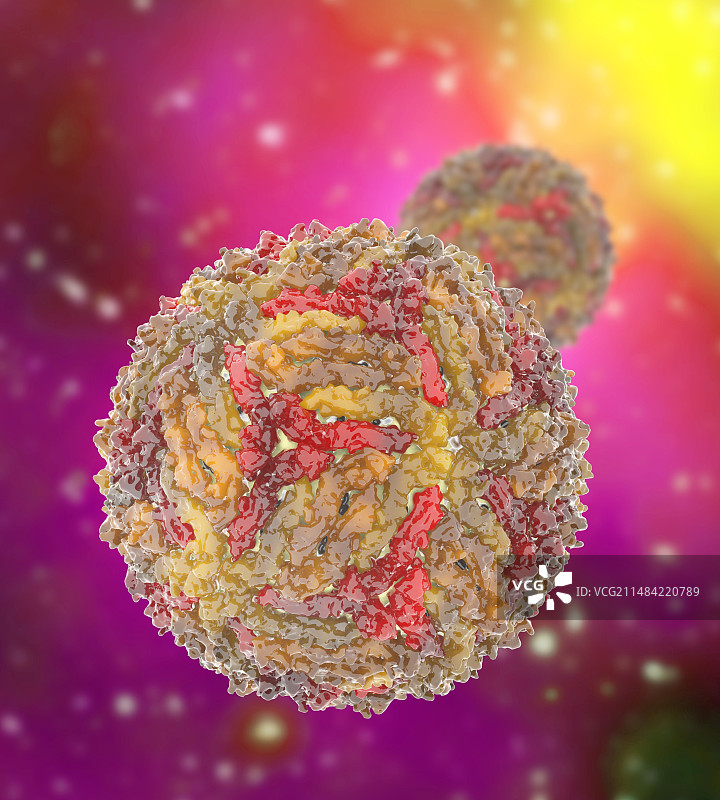 寨卡病毒颗粒，图示图片素材