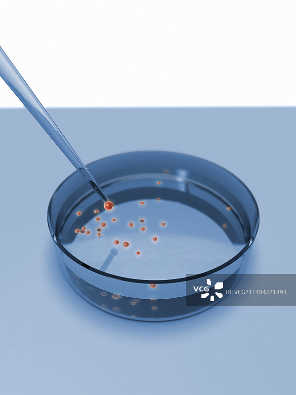 干细胞培养，图示图片素材