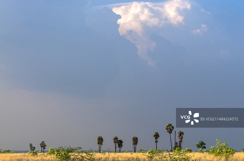 景观上的季风云图片素材