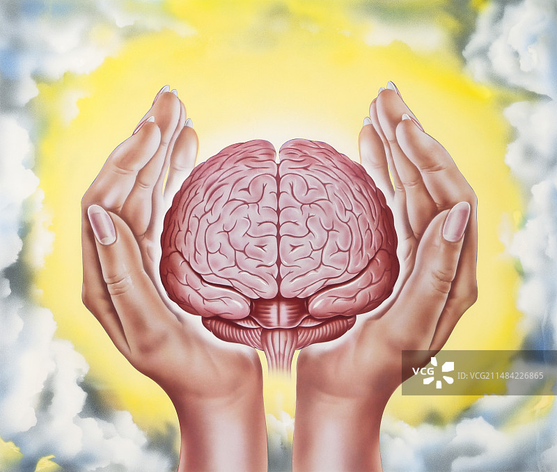 大脑保护概念图图片素材