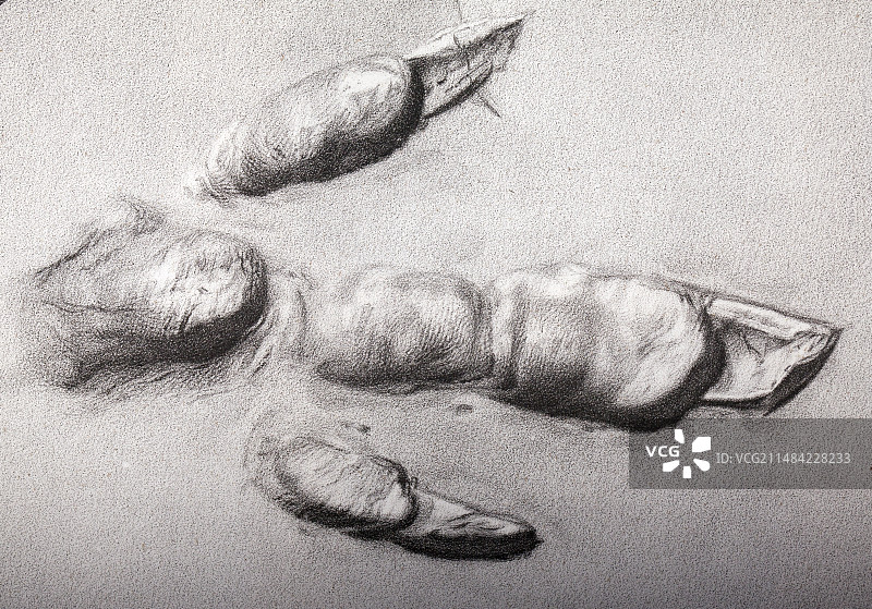 19世纪的恐龙足迹化石图片素材