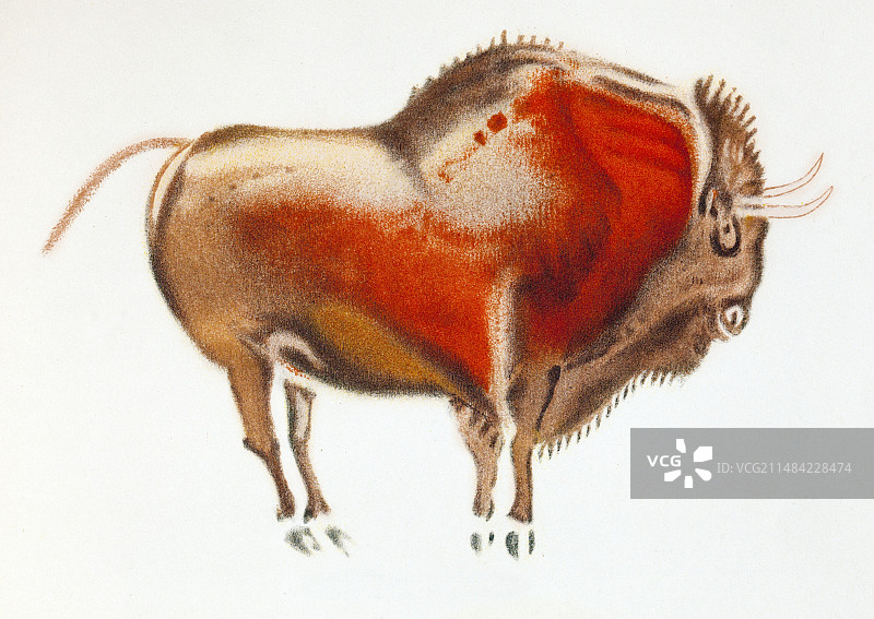 1916年阿尔塔米拉野牛洞穴壁画图片素材