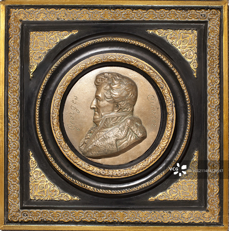 乔治·居维叶，法国动物学家图片素材