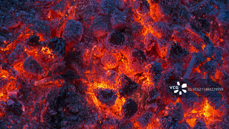 森林火灾中燃烧的松果图片素材