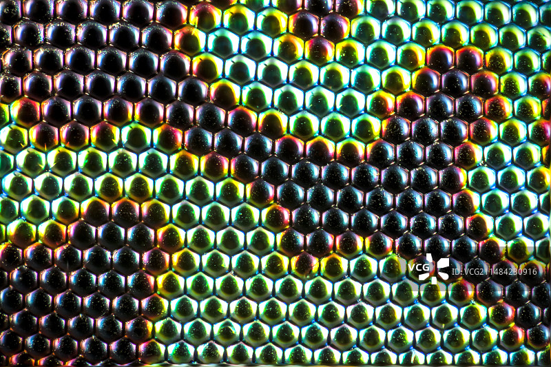 马蝇复眼特写，LM图片素材