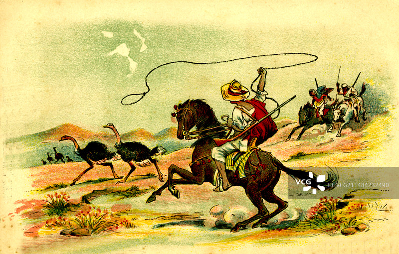 20世纪非洲鸵鸟猎人图片素材