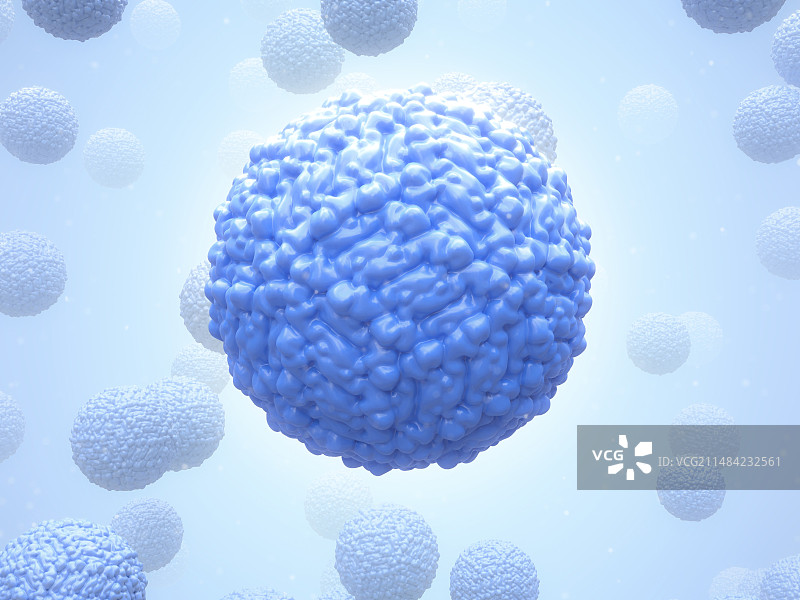 寨卡病毒，图示图片素材