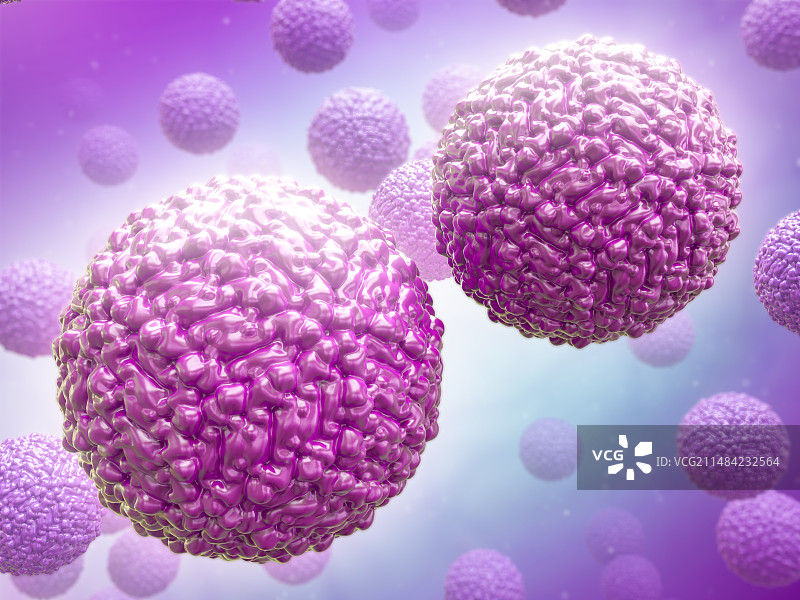 寨卡病毒颗粒插图图片素材