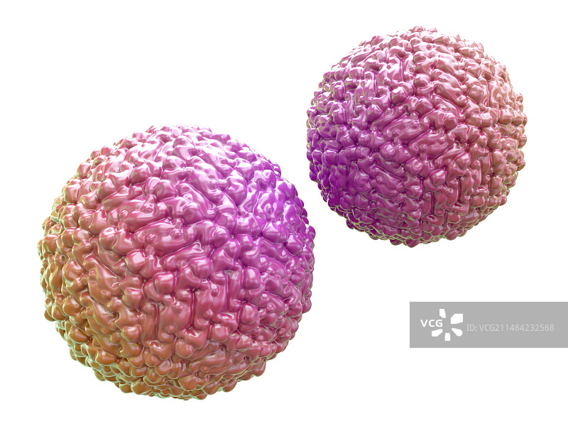 寨卡病毒颗粒插图图片素材