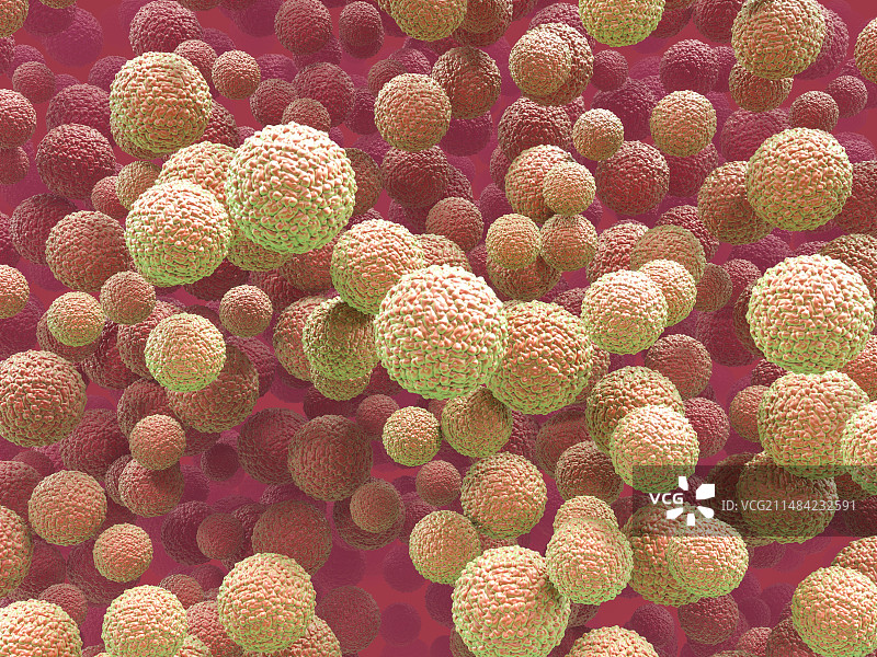 寨卡病毒颗粒插图图片素材