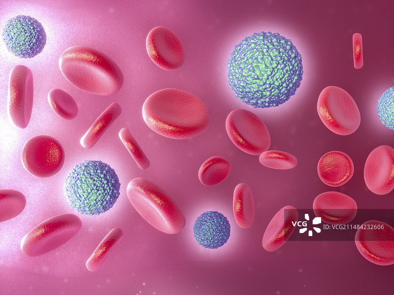 血液中寨卡病毒插画图片素材