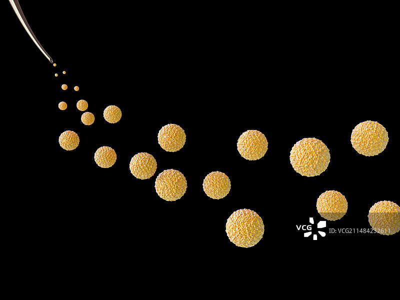 寨卡病毒感染插图图片素材