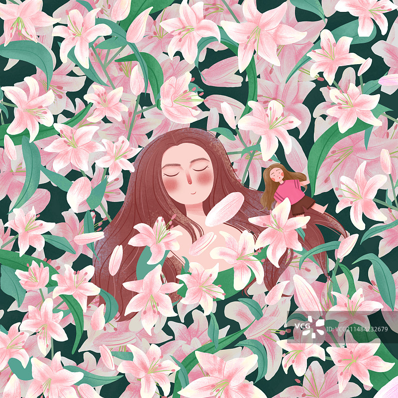 百合花图片素材