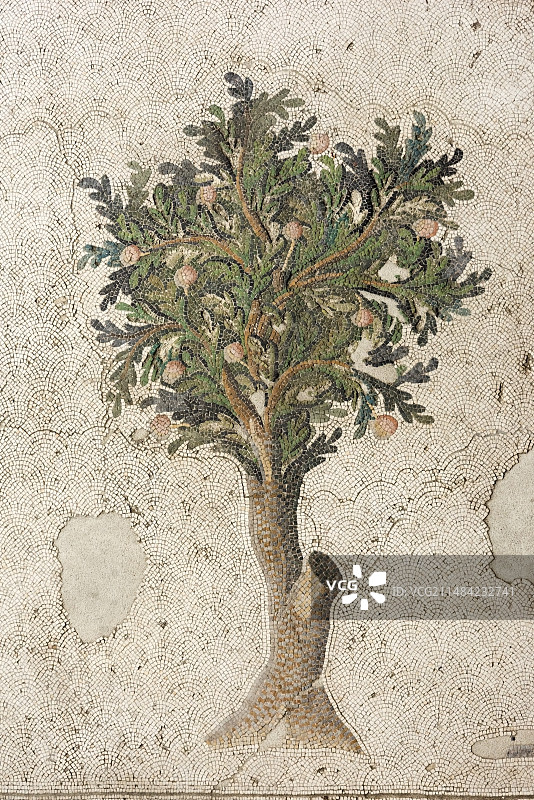 柑橘树镶嵌图案图片素材