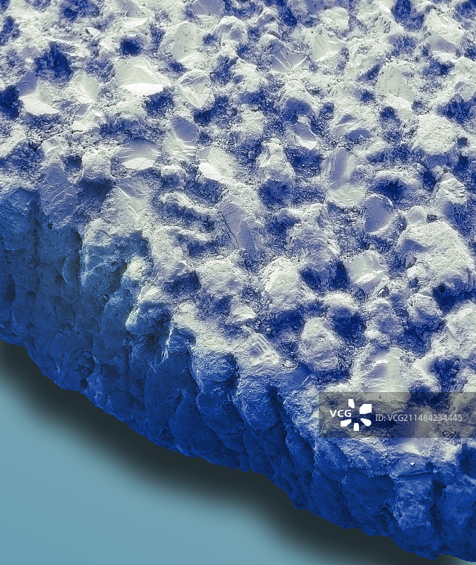 恐龙蛋壳化石扫描电镜图图片素材