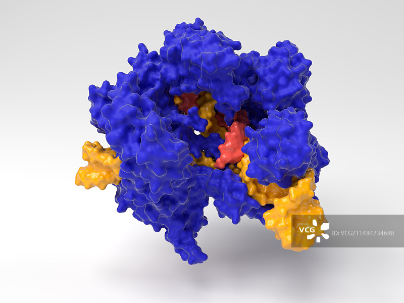 CRISPR-Cas9基因编辑复合体图片素材