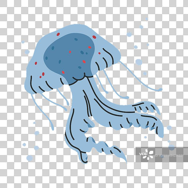 水下海洋水母图片素材