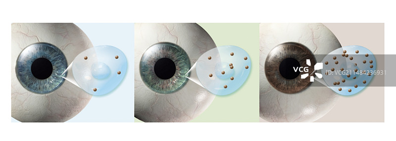 眼睛颜色，插图图片素材