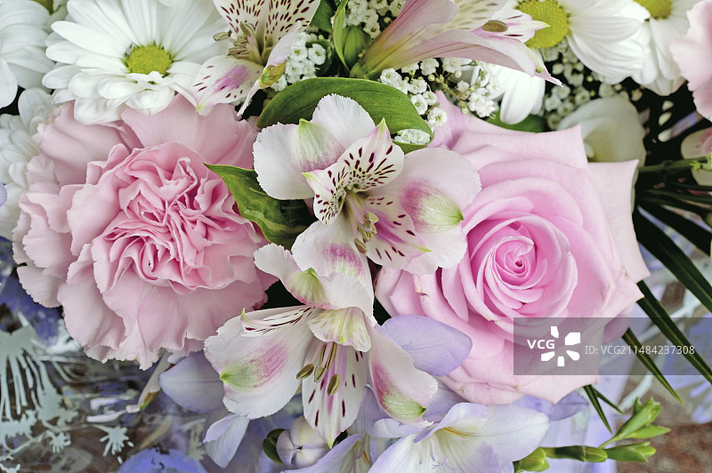 一束花图片素材