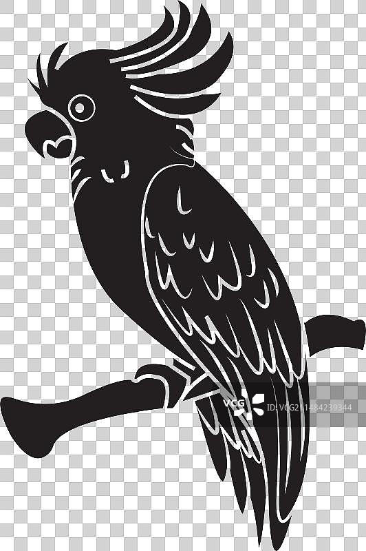 鹦鹉图标图片素材