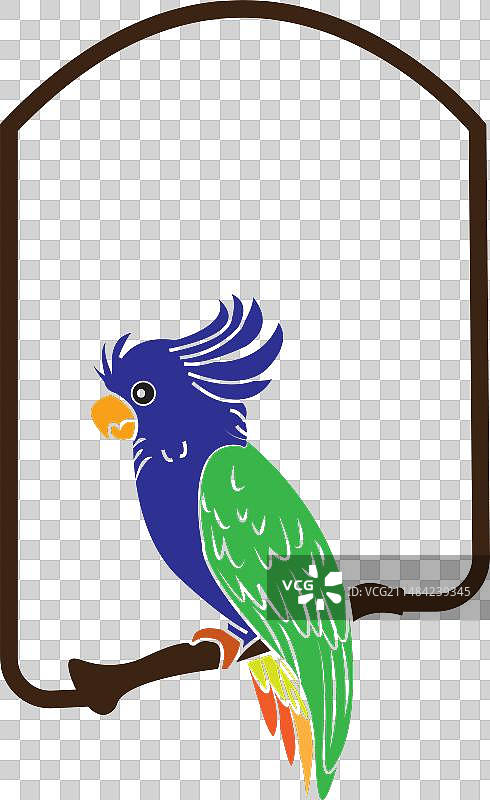 鹦鹉图标图片素材