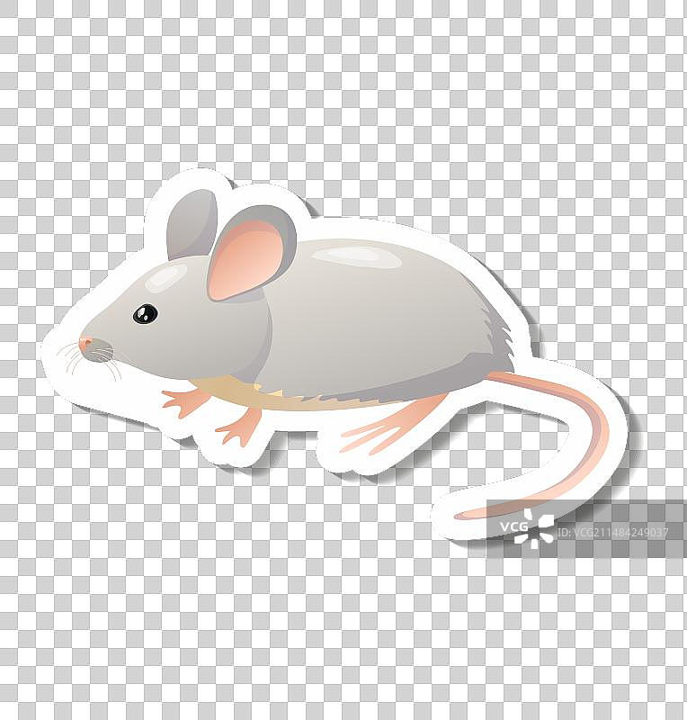 老鼠贴纸（动物耳朵、尾巴、鼻子，可编辑）图片素材