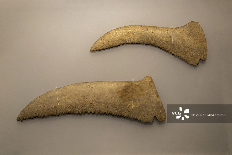 中国考古博物馆“中国历史研究院文物文献精品展”：石镰【石，新石器时代裴李岗文化，河南新郑裴李岗遗址】图片素材