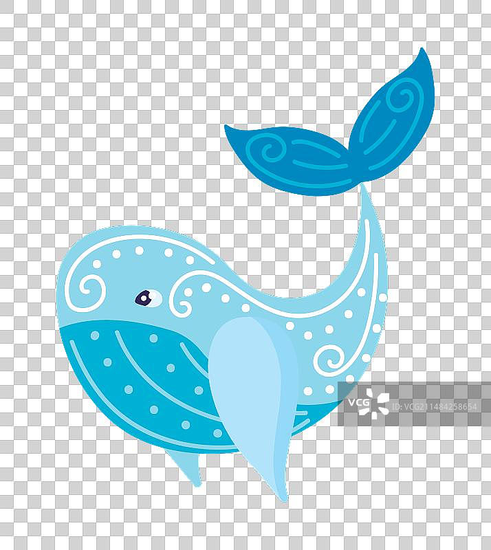 墨西哥阿莱布里赫鲸鱼图片素材