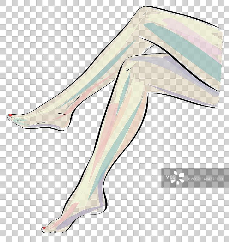 女士腿脚设计的轮廓图片素材