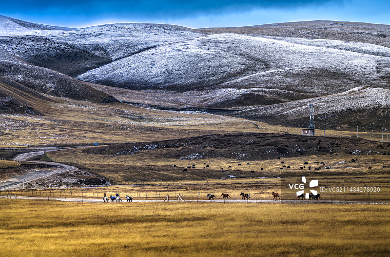 《高原牧场》图片素材