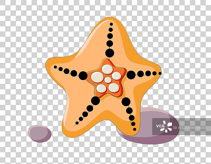 海星矢量插画免抠元素图片素材