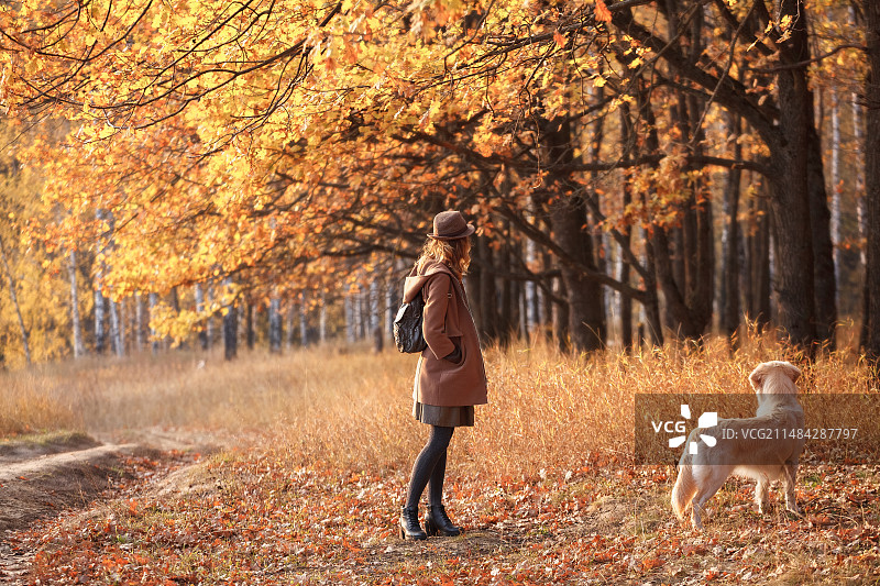 秋季，俄罗斯，带着狗站在田野上的女子侧面像图片素材