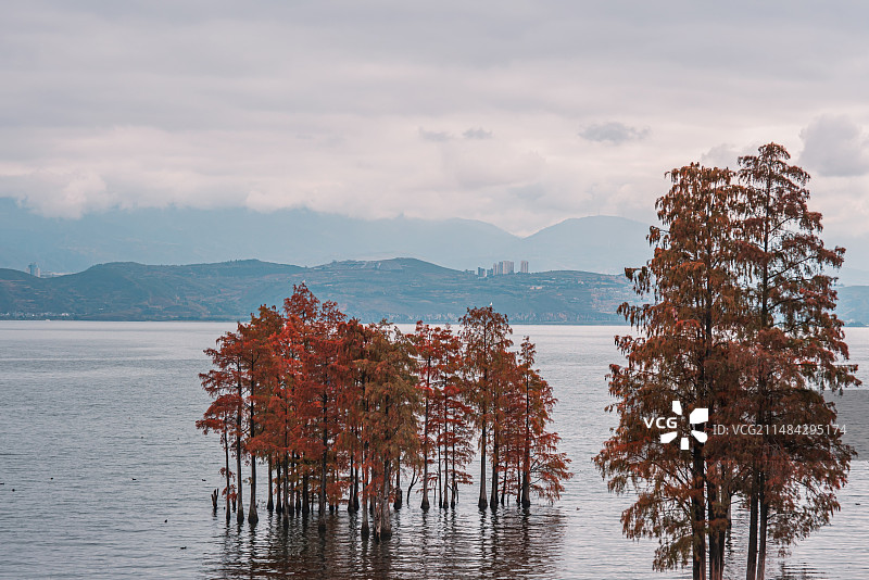 大理洱海龙龛码头图片素材