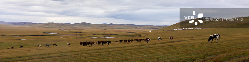 呼伦贝尔大草原图片素材
