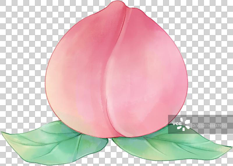 桃子图片素材